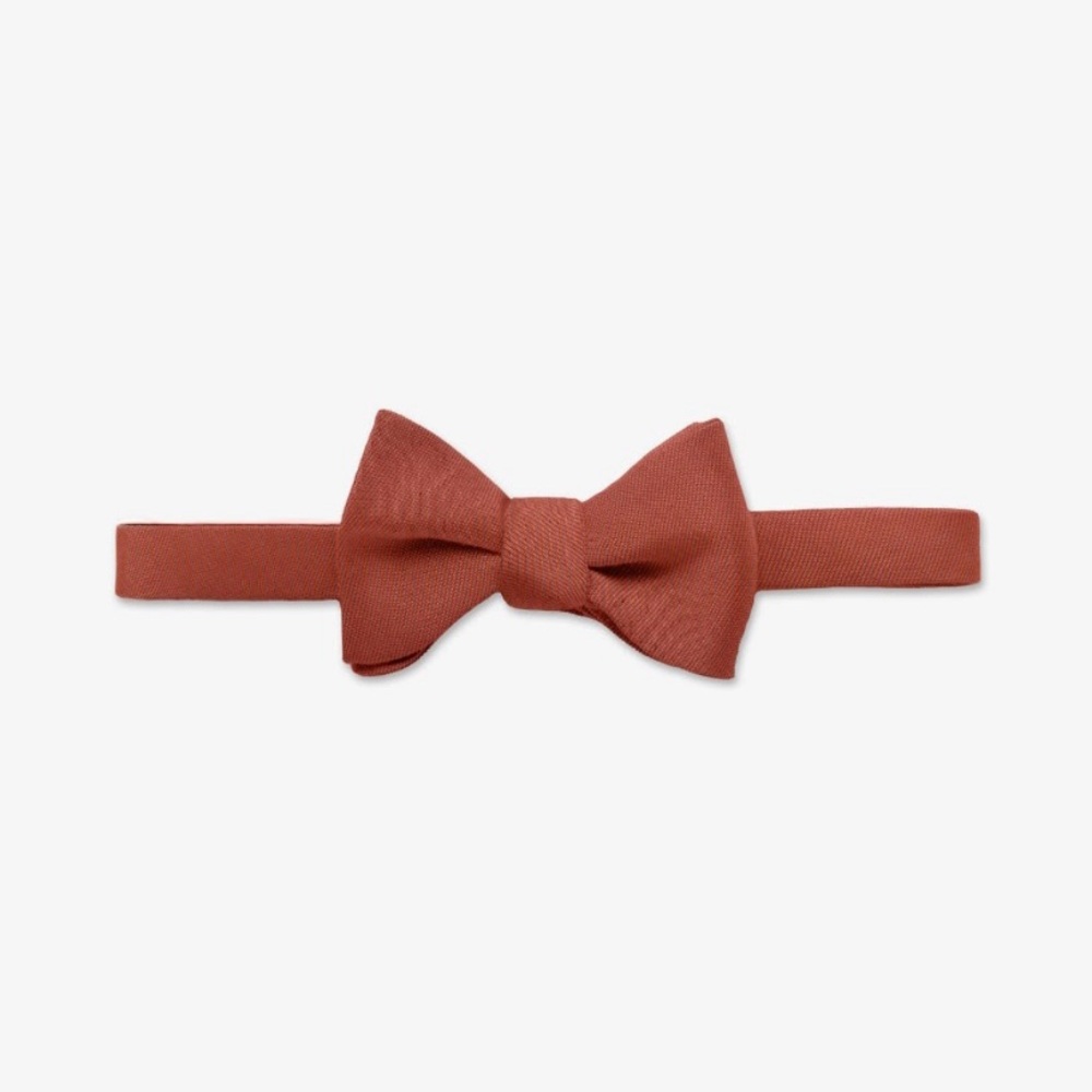 Birdy Grey terracotta bow tie